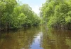 Gorai Mangrove Park