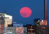 Strawberry Moon 2025