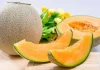Yubari Musk Melon Hokkaido Japan