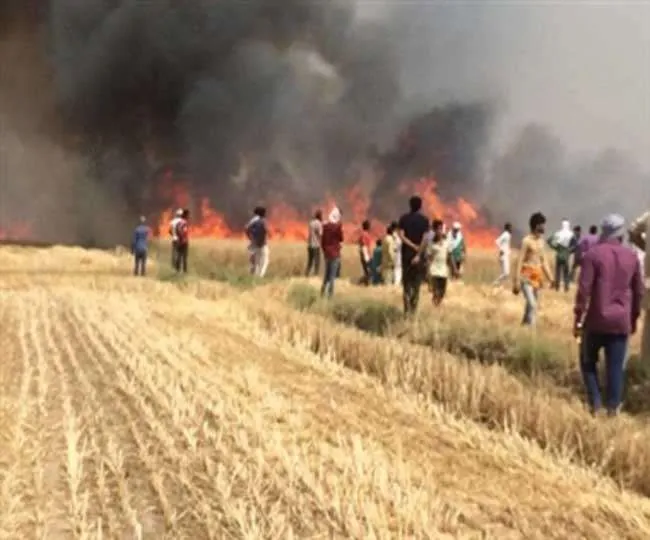 01_05_2019-firenew_19184784