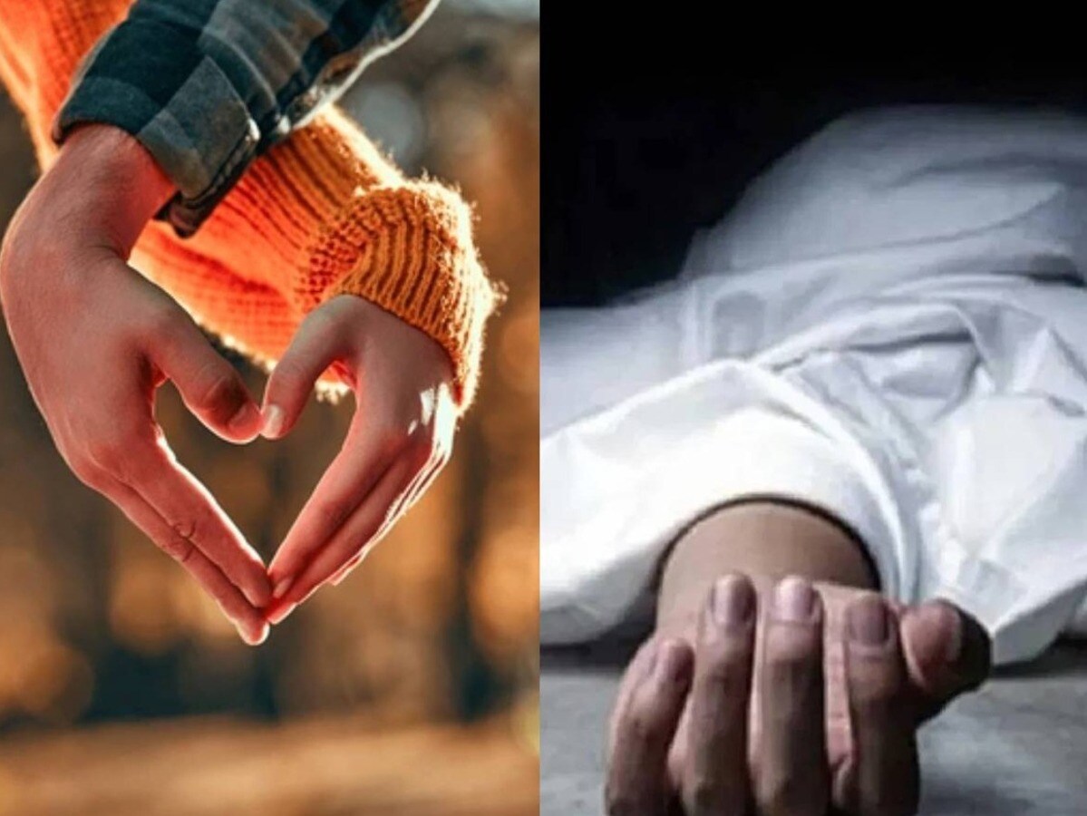 New_1734802608256_1734802608465