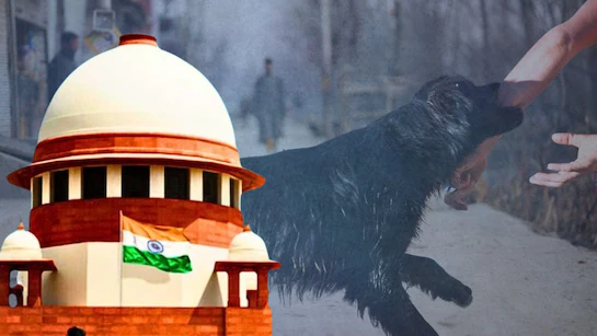 ts62jjnc_dog-bite-supreme-court-_625x300_11_August_25