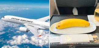 Japan Airlines Serves Vegan Business Passenger Single Banana For In-Flight Meal