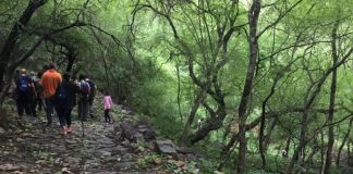 Aravalli Zoo Safari