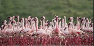 Ramsar Sites India