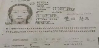 Japanese Tourists Missing