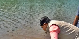 MP Chief Minister Mohan Yadav Releases 14 Turtles into Bamner River