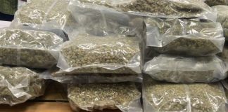 Marijuana