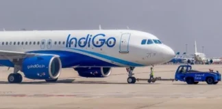 Indigo
