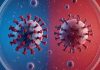 Hantavirus vs COVID-19