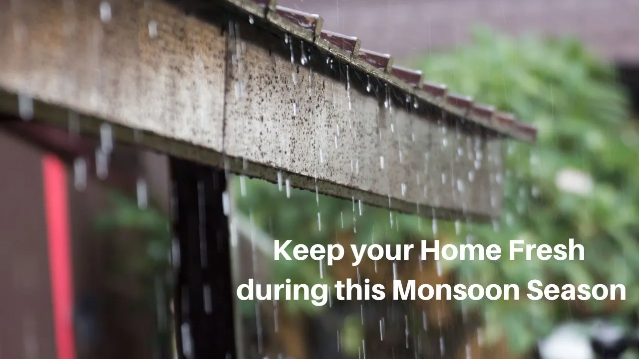 Strategies to Maintain Fresh and Odour-Free Furniture During Monsoon