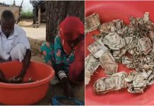 Rajasthan Farmer Discovers Termite-Damaged Currency After Burying Savings
