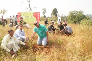 Vodafone tree Plantation